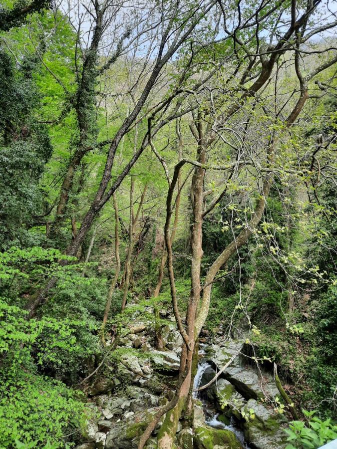 Αρχοντικό Κονάκι- Konaki Pelion Tsagarada Ngoại thất bức ảnh